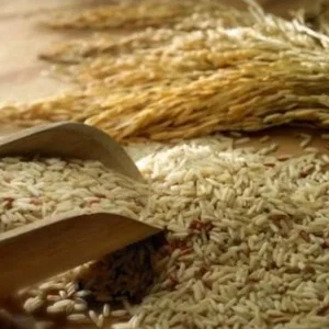 فروشگاه برنج 2