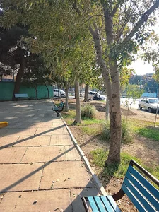 بوستان استاندارد