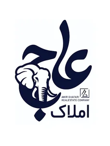 املاک عاج