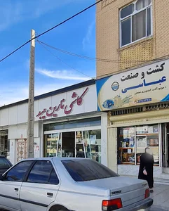 کاشی نارین میبد