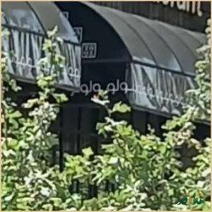 دکتر جواد موحدزاده