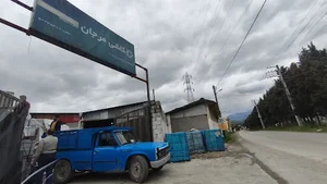 کاشی مرجان