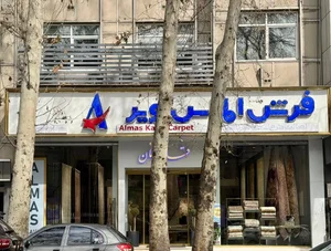 فرش الماس کویر کرمان 4