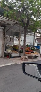 میوه فروشی آقا موسی 3