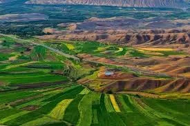 شهر طارم در کدام استان است؟ زادگاه برنج طارم کجاست؟