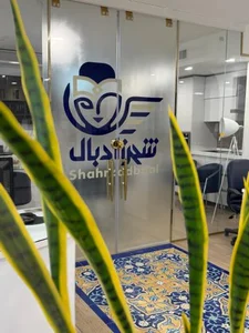 آژانس مسافرتی شهرزادبال 2