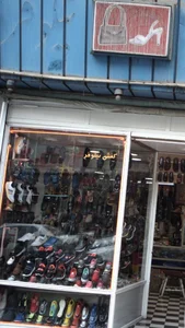 کفش نیلوفر