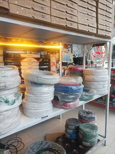 الکتریکی ارسلان