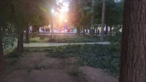 پارک یاسمن 2