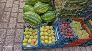 سوپر میوه مرتضی 3
