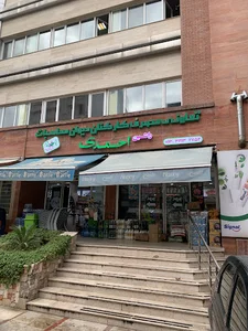 فروشگاه راشین احمدی
