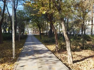بوستان آذرگل 3