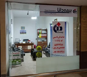 بیمه دانا