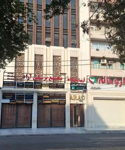 دکتر امین شایان 2