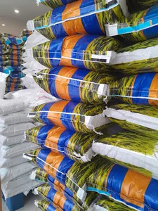 برنج جنوب حاج هرندی
