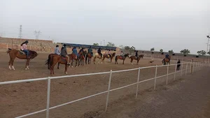 باشگاه سوارکاری میلادنور سبزوار