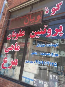 پروتیین علویان نوروزی 2