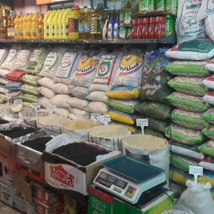 برادران مومنی.