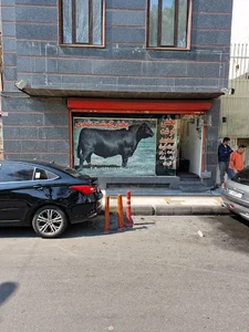 سوپر پروتئین مهدی