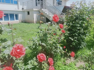 Haji Sanak House