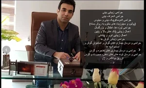 Dr. Ehsan Shams 2