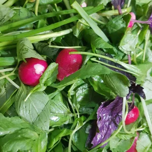 سبزیجات آماده گل یاس