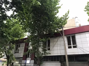 خدمات دندانپزشکی ودندانسازی دانشی 2