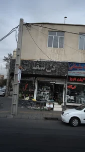 گل شقایق 2