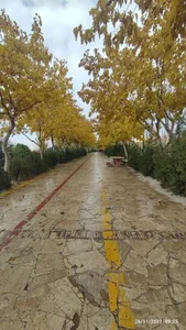 بوستان پلیس 4