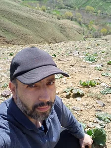 عطاری طبیعت