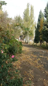 مزرعه حکمتی