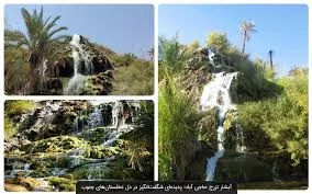 حاجی اباد