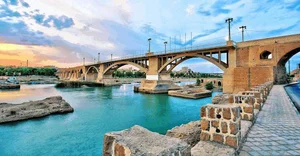 جاده ی خوشبختی (ملقب به جاده سگی)