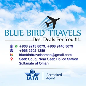 BLUE BIRD TRAVELS - SEEB