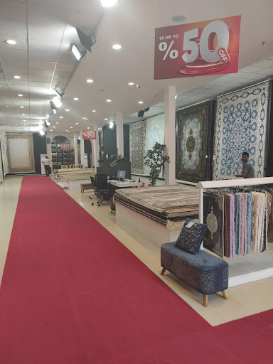 مجتمع زندیه