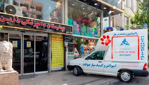 جراحی دام کوچک