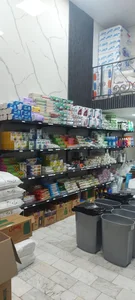ظروف یکبارمصرف پاک ظرف طالبی 3