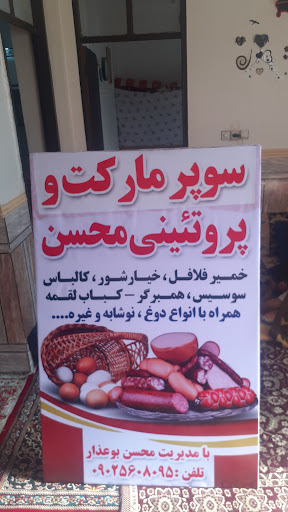 محسن سیلاوی