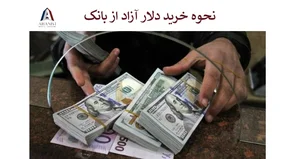 صرافی حسینی کیا