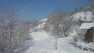 مسجد صاحب الزمان روستای محسن آباد