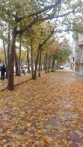 بیلیارد معین