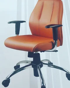 Arsha Chairs