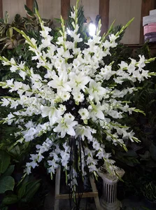 گلسرای بزرگ شهر
