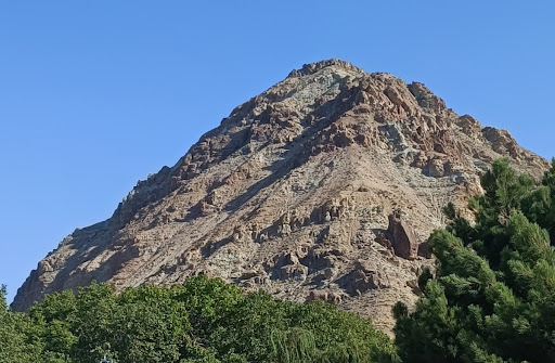 مزرعه