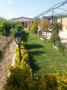 جاده امام زاده