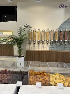 Gonuts-گوناتس
