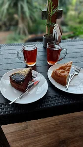 کافه بائولند