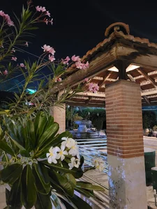 کافی‌شاپ باغ‌نخل
