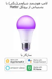 Shabtab Lighting