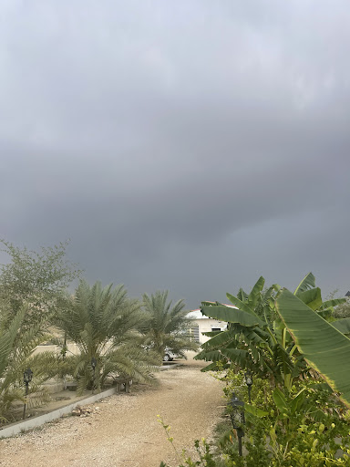 باغ ویلا الیاس